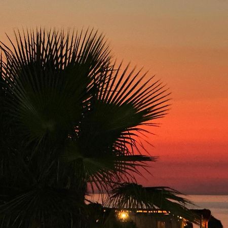 Saint Tropez Durres 호텔 Bisht Kamez 외부 사진